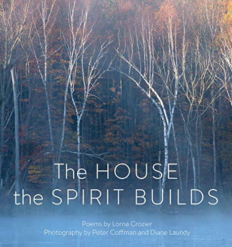 Stock image for The House the Spirit Builds for sale by Housing Works Online Bookstore