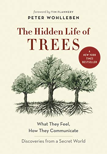 9781771643771: The Hidden Life of Trees: What They Feel, How They Communicate―Discoveries from A Secret World (The Mysteries of Nature, 1)