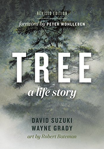 Imagen de archivo de Tree: A Life Story a la venta por WorldofBooks