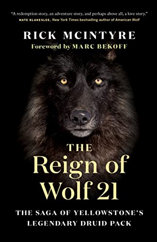 Imagen de archivo de The Reign of Wolf 21: The Saga of Yellowstone's Legendary Druid Pack (The Alpha Wolves of Yellowstone, 2) a la venta por Books Unplugged