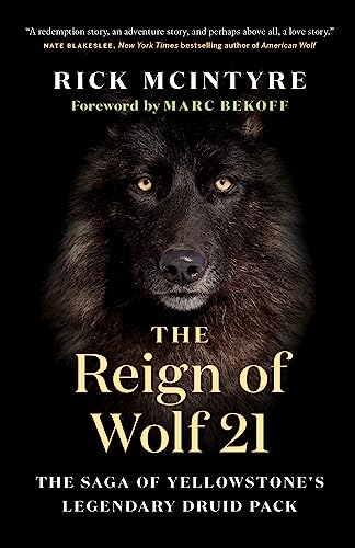Stock image for The Reign of Wolf 21: The Saga of Yellowstone's Legendary Druid Pack (The Alpha Wolves of Yellowstone, 2) for sale by Books Unplugged