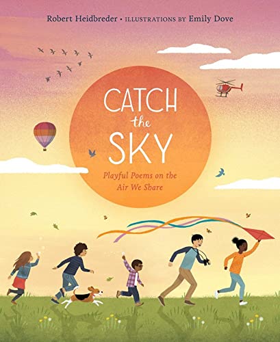 Imagen de archivo de Catch the Sky a la venta por Better World Books: West