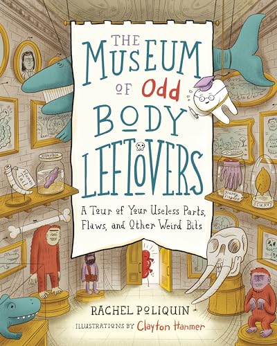 Stock image for The Museum of Odd Body Leftovers: A Tour of Your Useless Parts, Flaws, and Other Weird Bits for sale by SecondSale