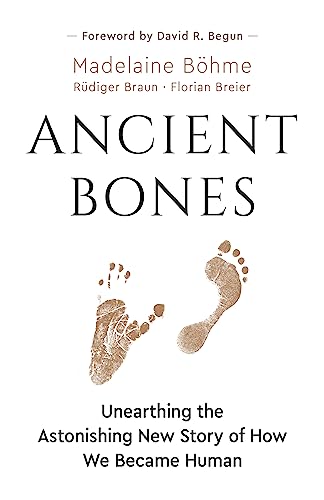 Stock image for Ancient Bones: Unearthing the Astonishing New Story of How We Became Human for sale by Your Online Bookstore