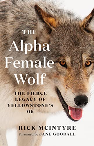 Stock image for The Alpha Female Wolf: The Fierce Legacy of Yellowstone's 06 (The Alpha Wolves of Yellowstone) for sale by BooksRun
