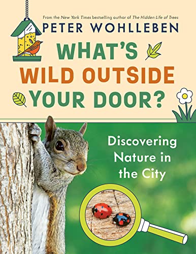 Beispielbild fr What's Wild Outside Your Door? : Discovering Nature in the City zum Verkauf von Better World Books