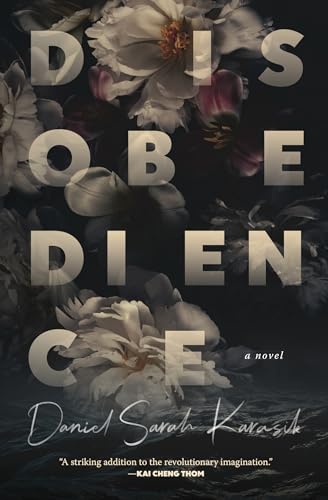 Stock image for Disobedience: A Novel for sale by Monster Bookshop