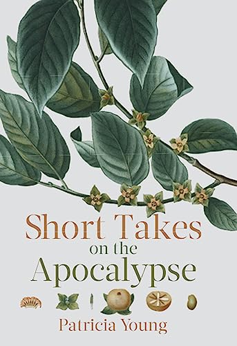 9781771961356: Short Takes on the Apocalypse