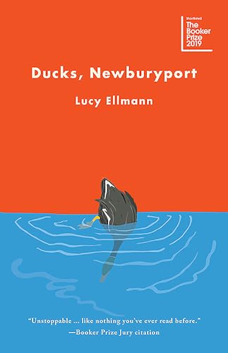 Stock image for Ducks, Newburyport for sale by KULTURAs books