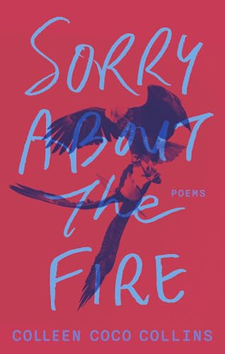 Beispielbild fr Sorry About the Fire (Paperback) zum Verkauf von Grand Eagle Retail