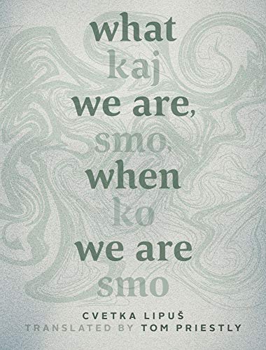 Stock image for What We Are, When We Are Kaj smo, ko smo Mingling Voices Series for sale by PBShop.store UK