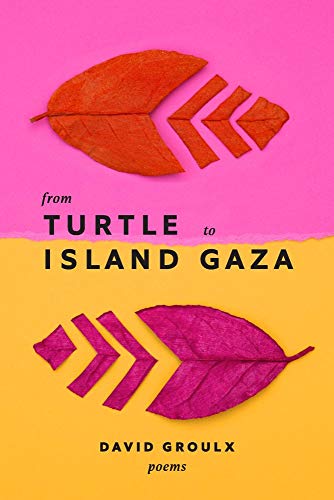 Stock image for From Turtle Island to Gaza for sale by PBShop.store UK