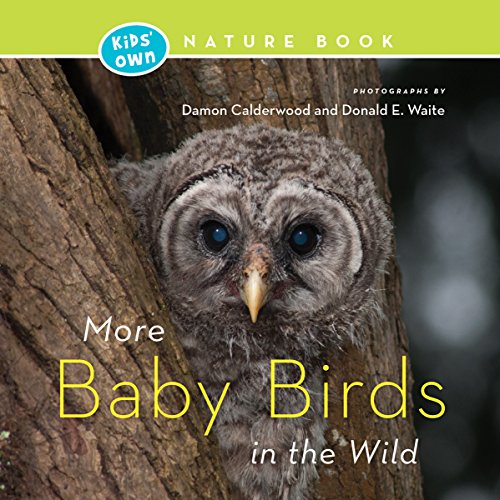 Imagen de archivo de More Baby Birds in the Wild (Kids' Own Nature Book) a la venta por GF Books, Inc.