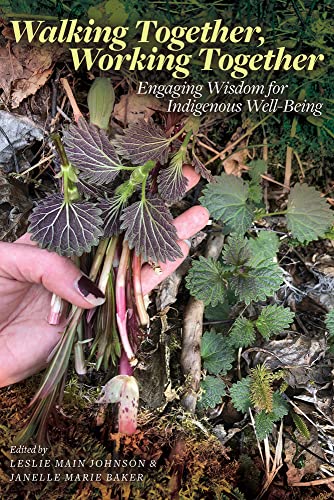 Stock image for Walking Together, Working Together: Engaging Wisdom for Indigenous Well-Being (Patterns of Northern Traditional Healing Series) for sale by Monster Bookshop