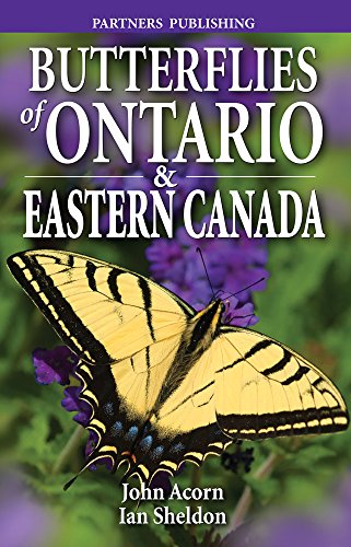 Stock image for Butterflies of Ontario & Eastern Canada for sale by GF Books, Inc.