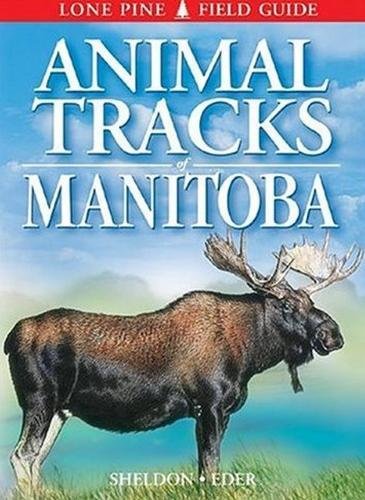 Stock image for Animal Tracks of Manitoba for sale by GF Books, Inc.