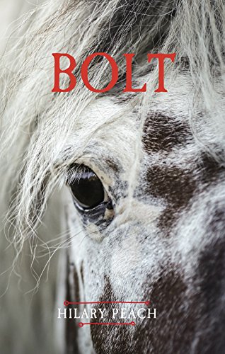 Stock image for Bolt for sale by Russell Books