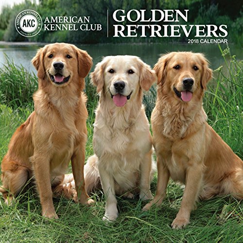 Zelfgenoegzaamheid Lada Snoep American Kennel Club Golden Retrievers 2018 Wall Calendar - Zebra  Publishing: 9781772181630 - AbeBooks