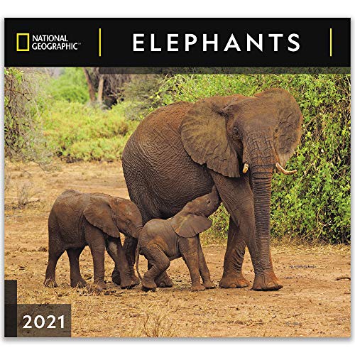 National Geographic Elephants Calendar AbeBooks