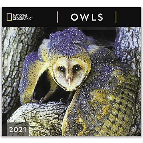 Beispielbild fr National Geographic Owls 2021 Wall Calendar zum Verkauf von Wonder Book