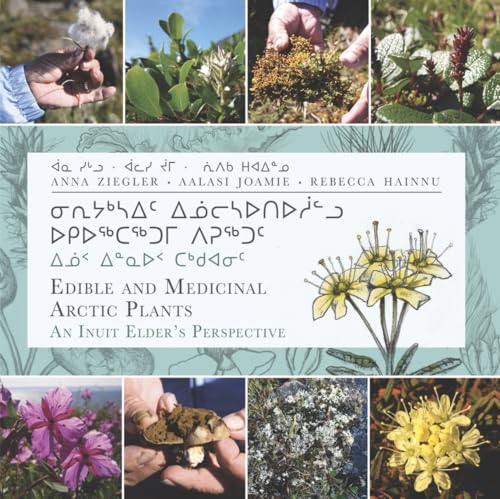 Imagen de archivo de Edible and Medicinal Arctic Plants: An Inuit Elders Perspective a la venta por Zoom Books Company