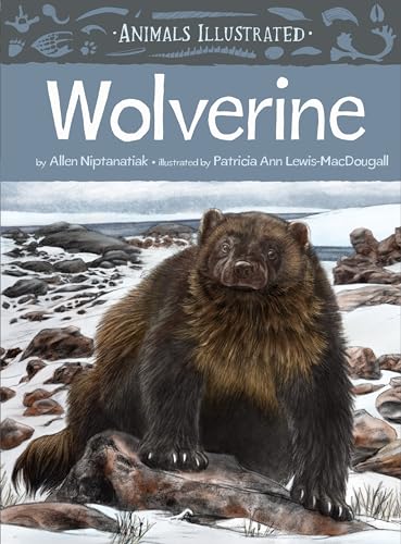 Beispielbild fr Wolverine (Animals Illustrated) zum Verkauf von BookOutlet