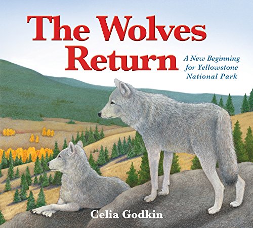 9781772780116: The Wolves Return: A New Beginning for Yellowstone National Park