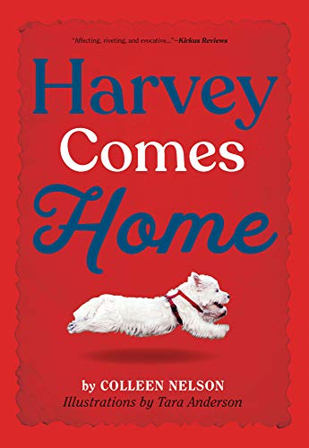 Beispielbild fr Harvey Comes Home (The Harvey Stories, 1) zum Verkauf von HPB-Red