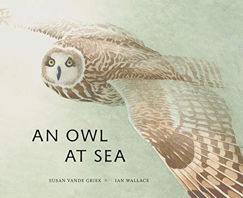 9781773061115: An Owl at Sea