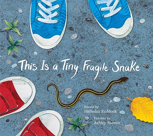 Imagen de archivo de This Is a Tiny Fragile Snake (Hardcover) a la venta por Grand Eagle Retail