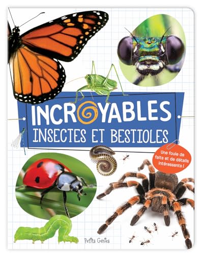 Beispielbild fr Incroyables insectes et bestioles zum Verkauf von WorldofBooks