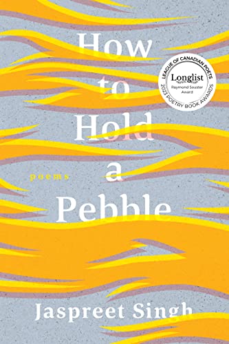 Imagen de archivo de How to Hold a Pebble a la venta por Biblioasis
