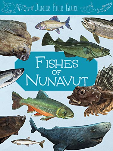9781774500521: Junior Field Guide: Fishes of Nunavut: English Edition (Junior Field Guides)