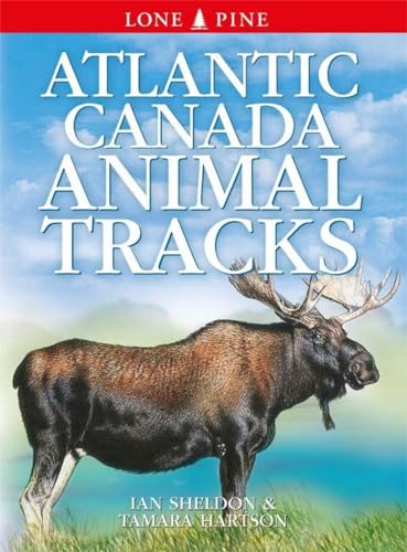 Stock image for Atlantic Canada Animal Tracks for sale by PBShop.store US