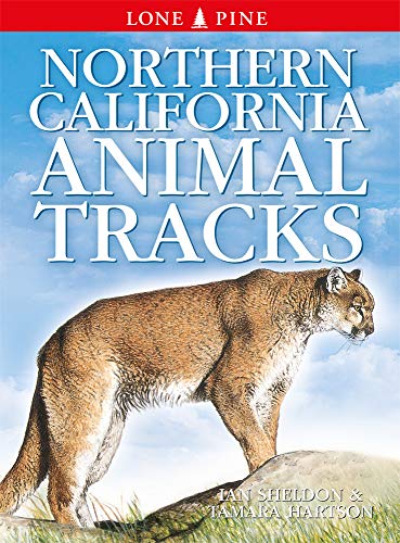 Beispielbild fr Northern California Animal Tracks zum Verkauf von Blackwell's