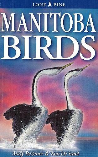 Stock image for Manitoba Birds for sale by ThriftBooks-Dallas