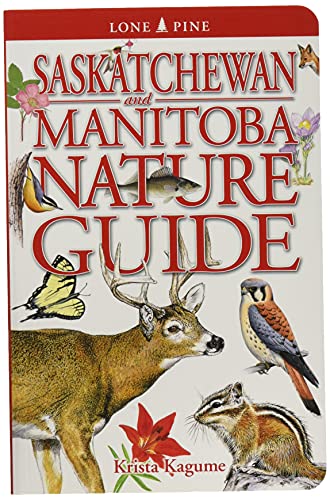 Beispielbild fr Saskatchewan and Manitoba Nature Guide zum Verkauf von Edmonton Book Store