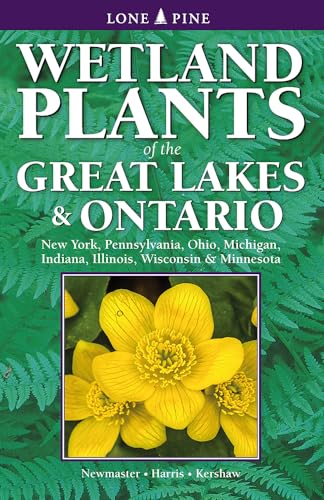 Beispielbild fr Wetland Plants of the Great Lakes and Ontario zum Verkauf von Lakeside Books