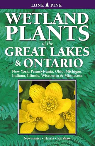 Imagen de archivo de Wetland Plants of the Great Lakes and Ontario a la venta por Lakeside Books