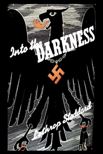 Beispielbild fr Into the Darkness zum Verkauf von Books Unplugged