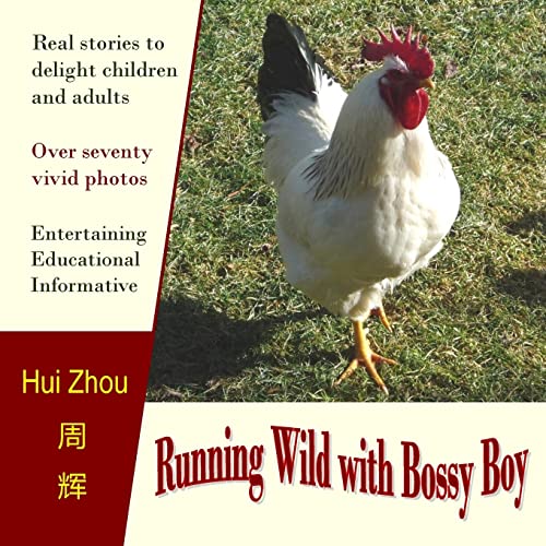 Beispielbild fr Running Wild with Bossy Boy zum Verkauf von Better World Books