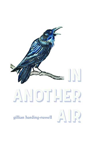 Stock image for In Another Air for sale by Revaluation Books