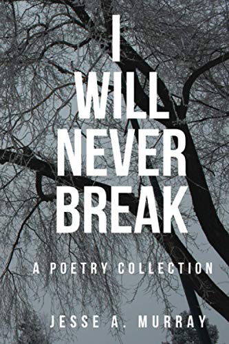 Stock image for I Will Never Break for sale by GF Books, Inc.
