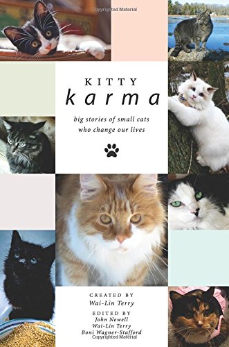 Imagen de archivo de Kitty Karma: Big Stories of Small Cats Who Change Our Lives a la venta por Irish Booksellers