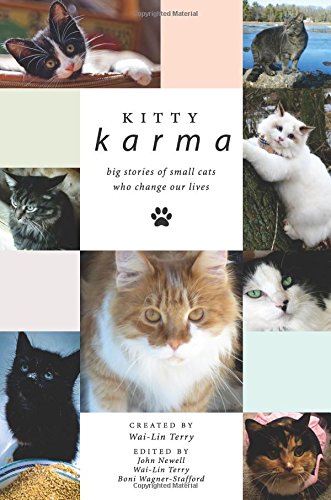 Stock image for Kitty Karma: Big Stories of Small Cats Who Change Our Lives for sale by SecondSale