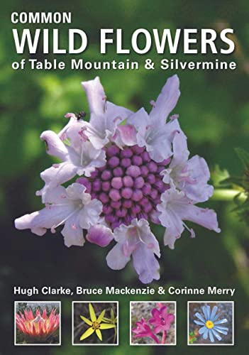 Stock image for Common wild flowers of Table Mountain & Silvermine for sale by ThriftBooks-Dallas