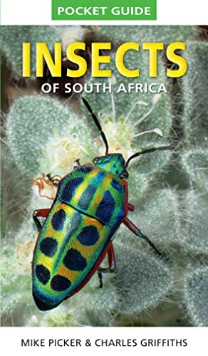 Beispielbild fr Pocket Guide: Insects of South Africa zum Verkauf von Books From California