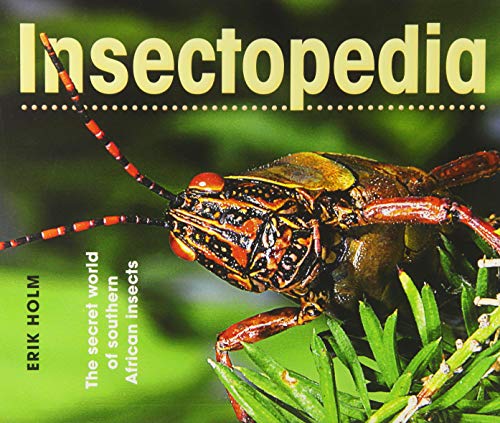 Stock image for Insectopedia: The secret world of southern African insects for sale by Books From California