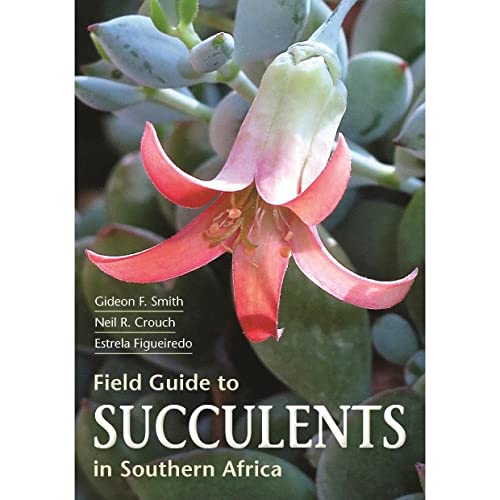 Stock image for Field Guide to Succulents of Southern Africa for sale by Blackwell's