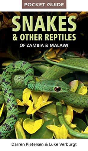 Beispielbild fr Pocket Guide to Snakes & Other Reptiles of Zambia and Malawi zum Verkauf von Books From California